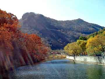 正版澳门天天开彩大全，上海钢塑土工格栅